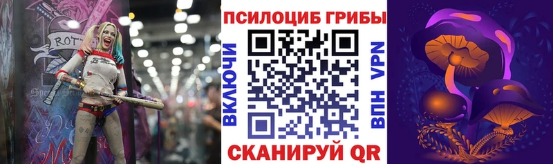 Купить где  Байкальск  Псилоцибиновые грибы мицелий 
